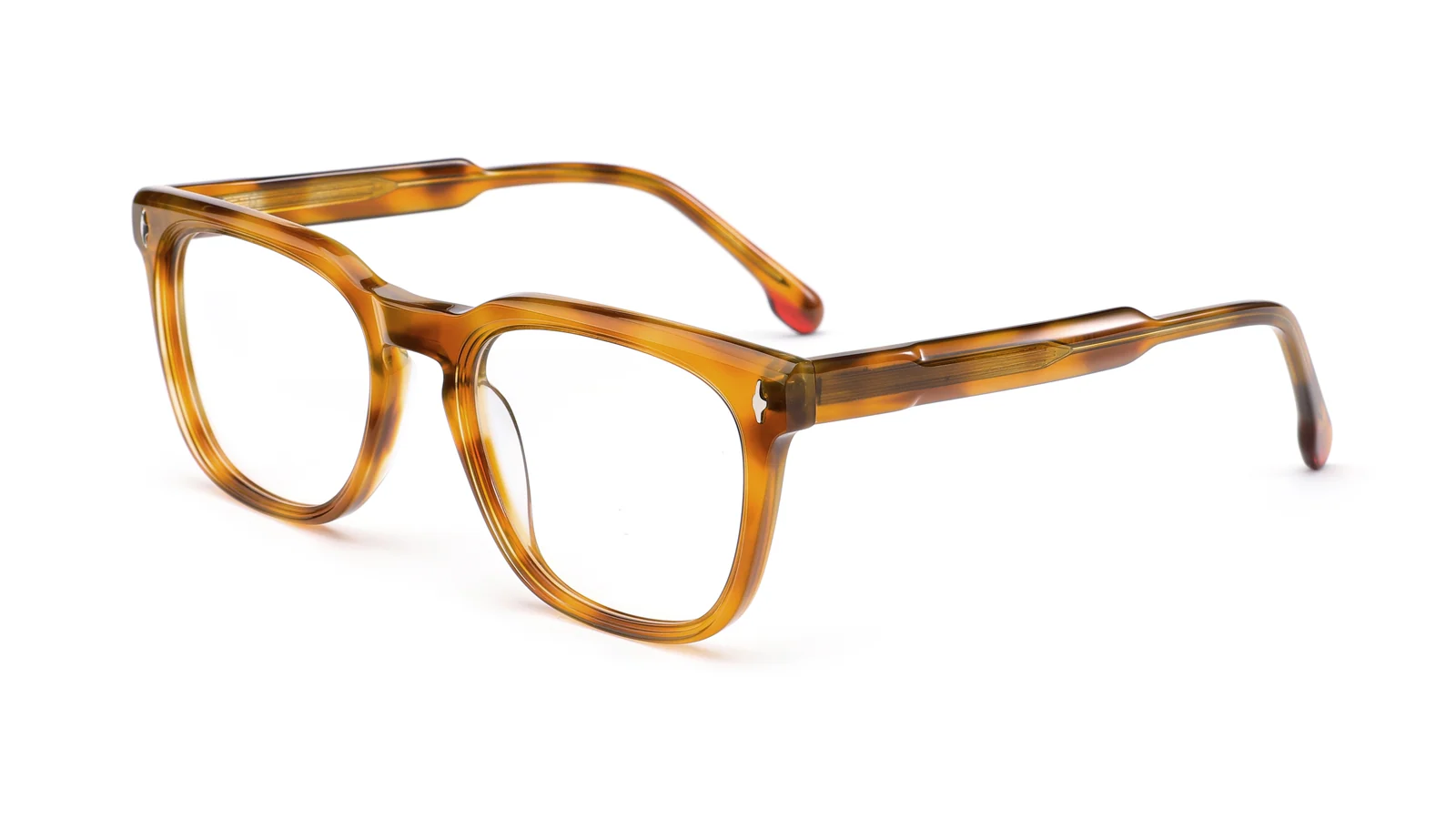 Amber Tortoise — 45° view