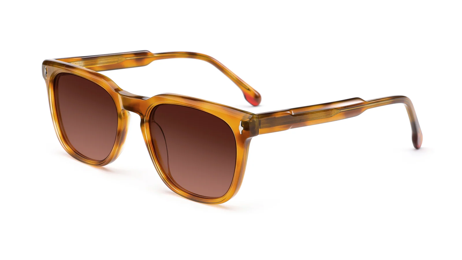 Amber Tortoise — 45° view